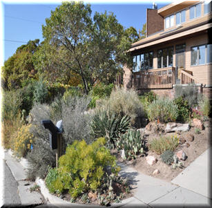 Utah Native Gardens
